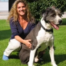 Dr. med. vet. Tina Hölscher