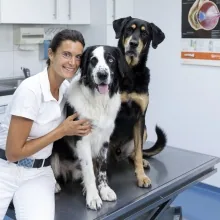Dr. med. vet. Yasmin Diepenbruck